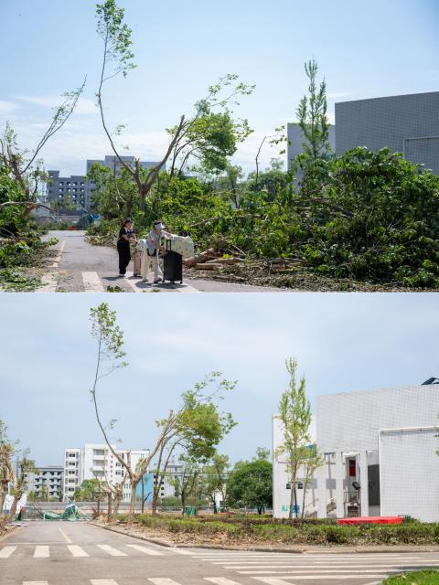 (260713) -- HUANGGANG, July 13, 2026 (Xinhua) -- This combo photo shows students being evacuated from Huanggang Normal University of Huanggang City in central China's Hubei Province, July 8, 2026 (above) and a view of Huanggang Normal University on July 13, 2026 (below).
  Between 7 p.m. and 11 p.m. on July 6, thunderstorms and strong winds hit Huangshi, Huanggang, Ezhou, and Xianning, with two townships seeing gales reaching level 13 in central China's Hubei Province. Some areas saw tornadoes, according to the local authorities. The province has launched all-out rescue and relief efforts to safeguard people's lives and property.
  China's National Development and Reform Commission has allocated 50 million yuan (about 7.34 million U.S. dollars) from the central budget to support emergency recovery efforts in Hubei Province, to restore damaged infrastructure, including roads, as well as public service facilities such as schools, helping affected areas resume normal production and daily life as soon as possible. (Xinhua/Wu Zhizun)