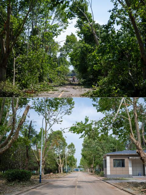 (260713) -- HUANGGANG, July 13, 2026 (Xinhua) -- This combo photo shows a staff member clearing the road in Huanggang Normal University of Huanggang City in central China's Hubei Province, July 8, 2026 (above), and a view of Huanggang Normal University on July 13, 2026 (below).
  Between 7 p.m. and 11 p.m. on July 6, thunderstorms and strong winds hit Huangshi, Huanggang, Ezhou, and Xianning, with two townships seeing gales reaching level 13 in central China's Hubei Province. Some areas saw tornadoes, according to the local authorities. The province has launched all-out rescue and relief efforts to safeguard people's lives and property.
  China's National Development and Reform Commission has allocated 50 million yuan (about 7.34 million U.S. dollars) from the central budget to support emergency recovery efforts in Hubei Province, to restore damaged infrastructure, including roads, as well as public service facilities such as schools, helping affected areas resume normal production and daily life as soon as possible. (Xinhua/Wu Zhizun)