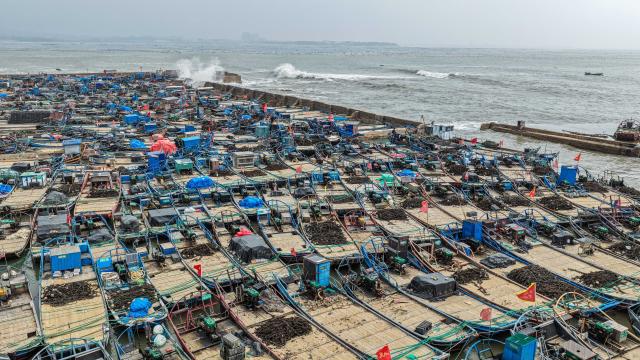 (260713) -- BEIJING, July 13, 2026 (Xinhua) -- This drone photo shows fishing boats and sampans moored at a harbor to shelter from an ongoing typhoon in Rongcheng City, east China's Shandong Province, July 13, 2026. China's National Meteorological Center on Monday renewed an orange alert for rainstorms and a blue one for Typhoon Bavi, the ninth typhoon of 2026, forecasting heavy downpours in multiple regions. Authorities in multiple localities are exerting all efforts to avoid or reduce possible damages inflicted by the rainstorms. (Photo by Li Xinjun/Xinhua)