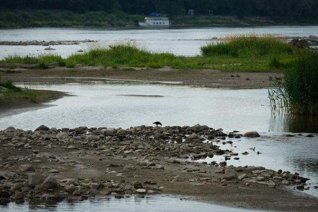 (260713) -- WARSAW, July 13, 2026 (Xinhua) -- Low water levels expose shallow areas of the Vistula River in Warsaw, Poland, July 13, 2026. Poland's longest river, the Vistula, has fallen to historically low water levels amid drought. Recent data from the Institute of Meteorology and Water Management showed that the river level at the Warsaw-Bulwary monitoring station had dropped to 19 centimeters, far below the normal level of around 230 centimeters. (Photo by Jaap Arriens/Xinhua)