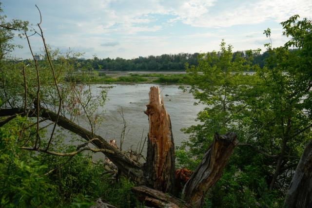(260713) -- WARSAW, July 13, 2026 (Xinhua) -- A tree trunk is pictured by the Vistula River in Warsaw, Poland, on July 13, 2026. Poland's longest river, the Vistula, has fallen to historically low water levels amid drought. Recent data from the Institute of Meteorology and Water Management showed that the river level at the Warsaw-Bulwary monitoring station had dropped to 19 centimeters, far below the normal level of around 230 centimeters. (Photo by Jaap Arriens/Xinhua)