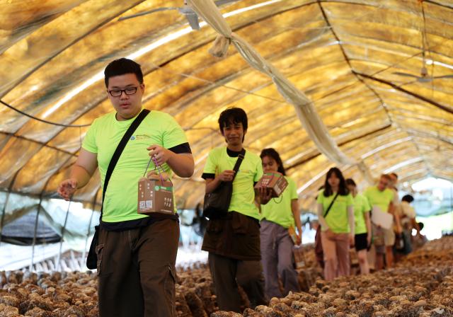 (260714) -- ANSHAN, July 14, 2026 (Xinhua) -- Members of a study tour pick shiitake mushrooms in Xiuyan Man Autonomous County, northeast China's Liaoning Province, July 12, 2026. Nearly 50 international teachers and students from five countries, including Mongolia, Greece, Thailand, Vietnam and Indonesia, joined the study tour, visiting modern agricultural production sites in northern China and enjoying immersive experiences of traditional Chinese culture. (Xinhua/Li Gang)