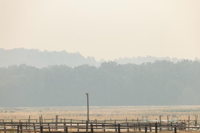 (260714) -- SEINE-ET-MARNE, July 14, 2026 (Xinhua) -- This photo taken on July 14, 2026 shows trees shrouded in smoke from a wildfire in Seine-et-Marne, France. French police have detained 59 people across the country in connection with wildfires, including two suspects linked to the blaze in the Fontainebleau forest in Seine-et-Marne department, southeast of Paris, French Interior Minister Laurent Nunez said on Monday.
   The wildfire in the Fontainebleau forest broke out on Sunday evening and continued to spread on Monday. (Xinhua/Wu Huiwo)