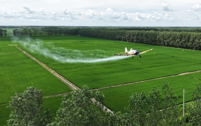 (260715) -- HARBIN, July 15, 2026 (Xinhua) -- An aerial drone photo taken on July 14, 2026 shows an agricultural plane carrying out aerial crop protection operations over a field of Beidahuang Group in northeast China's Heilongjiang Province. China's northern regions have entered a critical period for the prevention and control of crop diseases and pests. Various agricultural production units under Beidahuang Group in Heilongjiang Province have launched aerial crop protection operations over farmlands in succession, ensuring sound crop growth. (Photo by Li Xing/Xinhua)