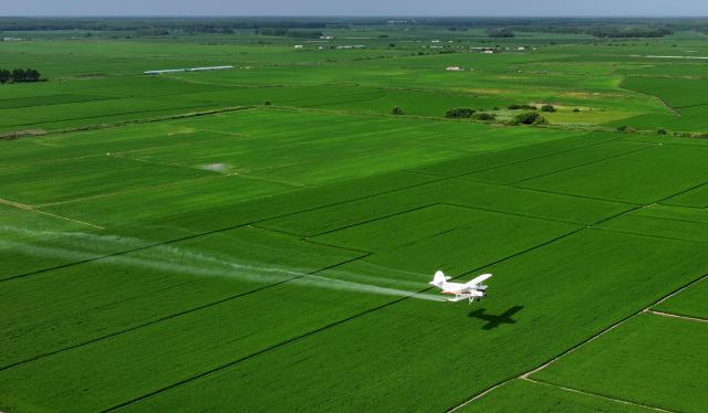 (260715) -- HARBIN, July 15, 2026 (Xinhua) -- An aerial drone photo taken on July 14, 2026 shows an agricultural plane carrying out aerial crop protection operations over a paddy field of Beidahuang Group in northeast China's Heilongjiang Province. China's northern regions have entered a critical period for the prevention and control of crop diseases and pests. Various agricultural production units under Beidahuang Group in Heilongjiang Province have launched aerial crop protection operations over farmlands in succession, ensuring sound crop growth. (Photo by Wang Jinbin/Xinhua)