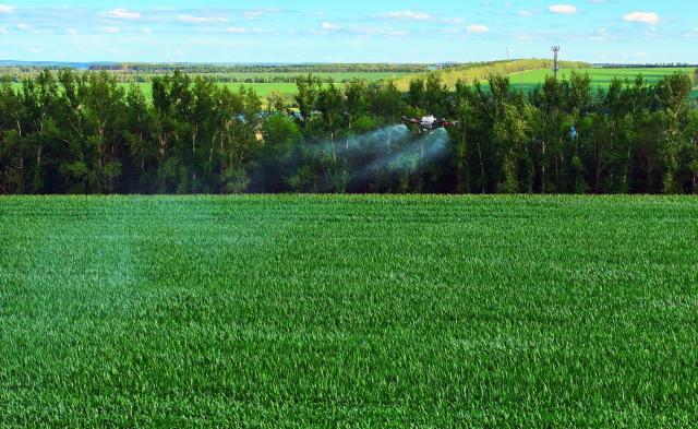 (260715) -- HARBIN, July 15, 2026 (Xinhua) -- A drone photo taken on July 13, 2026 shows a drone carrying out plant protection operations over a corn field of Beidahuang Group in northeast China's Heilongjiang Province. China's northern regions have entered a critical period for the prevention and control of crop diseases and pests. Various agricultural production units under Beidahuang Group in Heilongjiang Province have launched aerial crop protection operations over farmlands in succession, ensuring sound crop growth. (Photo by Ren Baoji/Xinhua)