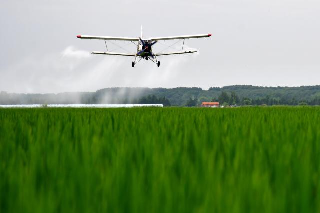 (260715) -- HARBIN, July 15, 2026 (Xinhua) -- This photo taken on July 14, 2026 shows an agricultural plane carrying out aerial crop protection operations over a paddy field of Beidahuang Group in northeast China's Heilongjiang Province. China's northern regions have entered a critical period for the prevention and control of crop diseases and pests. Various agricultural production units under Beidahuang Group in Heilongjiang Province have launched aerial crop protection operations over farmlands in succession, ensuring sound crop growth. (Photo by Wang Jinbin/Xinhua)