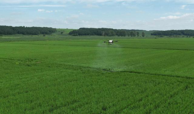 (260715) -- HARBIN, July 15, 2026 (Xinhua) -- A drone photo taken on July 14, 2026 shows a drone carrying out plant protection operations over a field of Beidahuang Group in northeast China's Heilongjiang Province. China's northern regions have entered a critical period for the prevention and control of crop diseases and pests. Various agricultural production units under Beidahuang Group in Heilongjiang Province have launched aerial crop protection operations over farmlands in succession, ensuring sound crop growth. (Photo by Xu Yingxian/Xinhua)