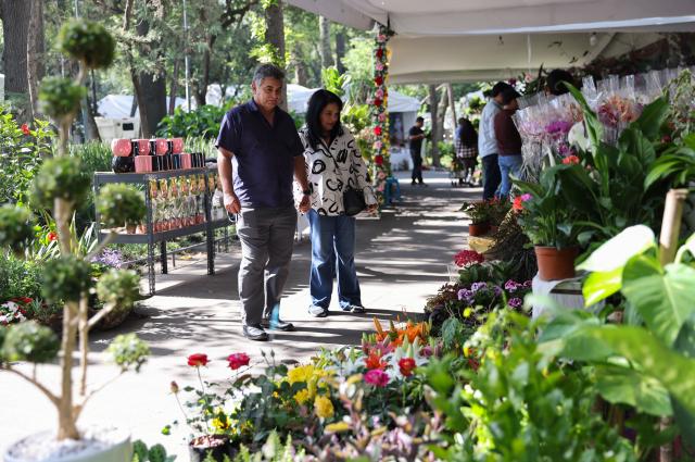 (260715) -- MEXICO CITY, July 15, 2026 (Xinhua) -- People visit the San Angel Flower Fair in Mexico City, Mexico, July 14, 2026. The annual event features flower markets, handicraft displays and cultural performances, highlighting local horticulture traditions, folk art and the historic charm of the district. (Xinhua/Liu Wenhui)