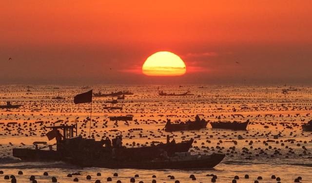 (260715) -- RONGCHENG, July 15, 2026 (Xinhua) -- A drone photo taken on July 15, 2026 shows aquaculture workers working at a marine farm in Rongcheng City, east China's Shandong Province. Marine farms in Rongcheng gradually resumed operations after Typhoon Bavi passed through the area. (Photo by Yang Zhili/Xinhua)