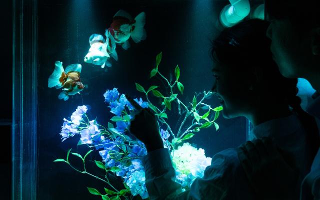 (260715) -- SEOUL, July 15, 2026 (Xinhua) -- People view fishes in an illuminated tank during an art exhibition at the Lotte World Aquarium in Seoul, South Korea, July 15, 2026. (Photo by Jun Hyosang/Xinhua)