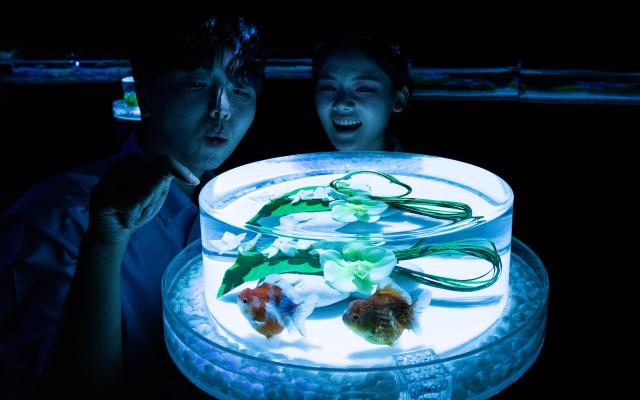 (260715) -- SEOUL, July 15, 2026 (Xinhua) -- People view fishes in an illuminated tank during an art exhibition at the Lotte World Aquarium in Seoul, South Korea, July 15, 2026. (Photo by Jun Hyosang/Xinhua)