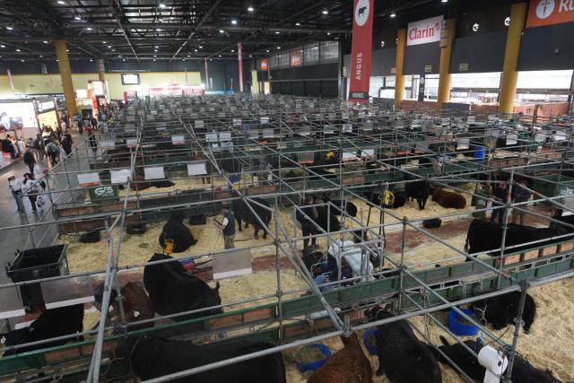 (260718) -- BUENOS AIRES, July 18, 2026 (Xinhua) -- People visit the Livestock, Agriculture and Industry Exhibition in Buenos Aires, Argentina, July 17, 2026. The exhibition is held here from July 16 to 26. (Xinhua/Zhang Duo)