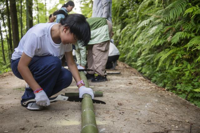 (260718) -- QIANDONGNAN, July 18, 2026 (Xinhua) -- A girl from Shanghai saws a bamboo to make tableware for a picnic in Meide Village of Congjiang County, Qiandongnan Miao and Dong Autonomous Prefecture, southwest China's Guizhou Province, July 15, 2026. In the summer vacation, a surging number of students from big cities like Shanghai and Shenzhen come to Meide Village of Qiandongnan Miao and Dong Autonomous Prefecture for a study tour, living with local people and experiencing the culture and customs of the Dong ethnic group. (Photo by Wu Dejun/Xinhua)