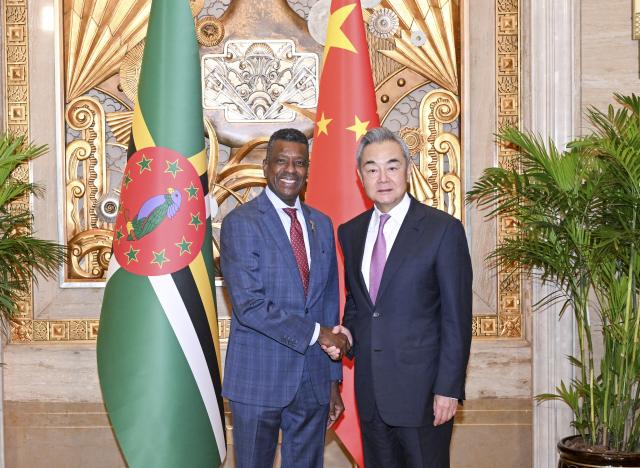 (260718) -- SHANGHAI, July 18, 2026 (Xinhua) -- Chinese Foreign Minister Wang Yi, also a member of the Political Bureau of the Communist Party of China Central Committee, meets with Vince Henderson, foreign minister of the Commonwealth of Dominica, who is in China to attend the World Artificial Intelligence Conference, in Shanghai, east China, July 18, 2026. (Xinhua/Chen Haoming)