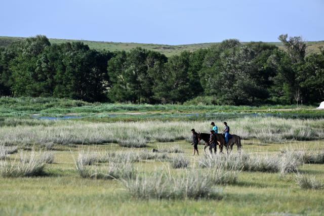(260719) -- XILINGOL, July 19, 2026 (Xinhua) -- Tourists ride horses at the Xilingol grassland in north China's Inner Mongolia Autonomous Region, July 19, 2026. (Xinhua/Li Zhipeng)