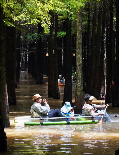 (260719) -- KUNMING, July 19, 2026 (Xinhua) -- Tourists enjoy the scenery at a wetland park in Kunming City, southwest China's Yunnan Province, July 18, 2026. (Photo by Liang Zhiqiang/Xinhua)