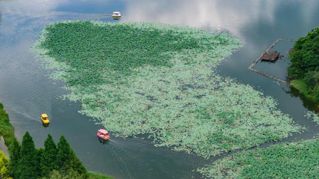 (260719) -- KUNMING, July 19, 2026 (Xinhua) -- An aerial drone photo taken on July 18, 2026 shows tourists enjoying the scenery at a wetland park in Kunming City, southwest China's Yunnan Province, July 18, 2026. (Photo by Xiong Pingxiang/Xinhua)