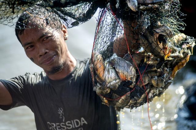 (260720) -- BEIJING, July 20, 2026 (Xinhua) -- A man presents fish he caught during Festival Memet Ikan, or fish catching festival, at Gemblegan village in Klaten regency, Central Java, Indonesia, July 19, 2026. (Photo by Agung Supriyanto/Xinhua)