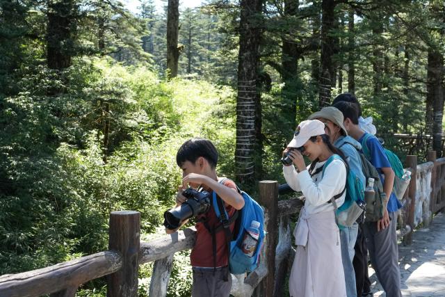 (260720) -- CHENGDU, July 20, 2026 (Xinhua) -- Tourists take photos on the Wawu Mountain in Hongya County, southwest China's Sichuan Province, July 19, 2026. Known for its distinctive table-mountain landform, Wawu Mountain features a summit plateau covering about 11 square kilometers, making it a popular tourist destination. (Xinhua/Xu Bingjie)