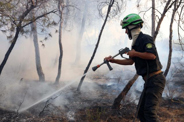 (260721) -- ALGIERS, July 21, 2026 (Xinhua) -- A firefighter works to put out a wildfire on a mountain in El Hachimia, northern Algeria, on July 21, 2026. Six people have been killed in wildfires sweeping across northern Algeria as a prolonged heat wave continues to fuel forest and vegetation fires in several provinces, the Algerian Ministry of the Interior, Local Authorities and Transports said Tuesday. (Photo by Billel Bensalem/Xinhua)