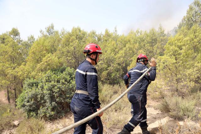 (260721) -- ALGIERS, July 21, 2026 (Xinhua) -- Firefighters work against a wildfire on a mountain in El Hachimia, northern Algeria, on July 21, 2026. Six people have been killed in wildfires sweeping across northern Algeria as a prolonged heat wave continues to fuel forest and vegetation fires in several provinces, the Algerian Ministry of the Interior, Local Authorities and Transports said Tuesday. (Photo by Billel Bensalem/Xinhua)