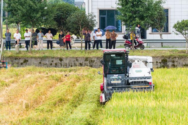 (260722) -- CHANGSHA, July 22, 2026 (Xinhua) -- An aerial drone photo taken on June 22, 2026 shows an unmanned harvester operating in a rice field at a smart farm in Xiangjiang Village, Changsha City, central China's Hunan Province. Local farmers here are deploying various types of modern agricultural machinery and equipment during the summer harvest and planting season. (Xinhua/Chen Sihan)