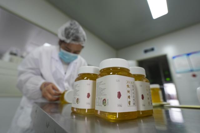 (260722) -- SHUANGYASHAN, July 22, 2026 (Xinhua) -- A staff member checks black bee honey products at a food company in Raohe County, northeast China's Heilongjiang Province, July 22, 2026.
  Raohe, a border county in northeast China's Heilongjiang Province, boasts favorable geographical and climatic conditions for raising black honeybees. A national-level nature reserve was set up here in 1997 to conserve the species.
  Leveraging its unique resource endowments, Raohe has developed the black honeybee industry into its local pillar industry, and is working to upgrade the traditional beekeeping sector to modern brand-focused agriculture.
  Up to now, the reserve has a total of 42,000 bee colonies, 431 apiaries, and 1,300 people involved in the beekeeping sector. The combined brand value of local bee products including honey, royal jelly and propolis has exceeded 1.488 billion yuan (219.7 million U.S. dollars). (Xinhua/Wang Song)