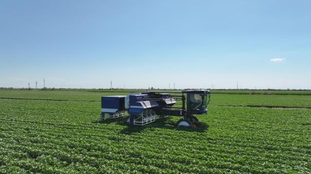 (260722) -- SHIHEZI, July 22, 2026 (Xinhua) -- This undated photo shows a 108-arm robot designed for cotton topping in Shihezi City, northwest China's Xinjiang Uygur Autonomous Region.
  TO GO WITH "Across China: Xinjiang deploys 108-arm robot for cotton topping, slashes labor costs" (Xinhua)