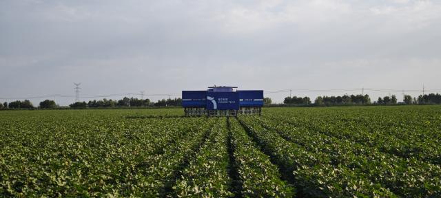 (260722) -- SHIHEZI, July 22, 2026 (Xinhua) -- This undated photo shows a 108-arm robot designed for cotton topping in Shihezi City, northwest China's Xinjiang Uygur Autonomous Region.
  TO GO WITH "Across China: Xinjiang deploys 108-arm robot for cotton topping, slashes labor costs" (Xinhua)