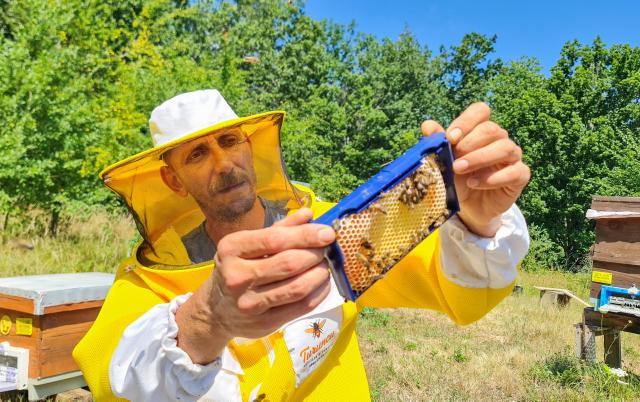 (260722) -- IGNEADA, July 22, 2026 (Xinhua) -- Beekeeper Ender Ceylan checks a honeycomb frame in Igneada, Kirklareli Province, Türkiye, July 20, 2026. TO GO WITH "Feature: Türkiye's distinctive oak honey eyes sweet success in global niches" (Photo by Sefer Recepli/Xinhua)