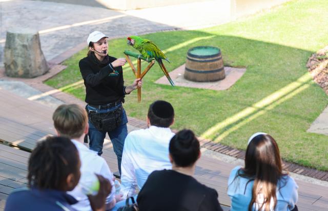 (260723) -- JOHANNESBURG, July 23, 2026 (Xinhua) -- A staff member introduces a parrot to visitors at the Montecasino Bird Gardens in Johannesburg, South Africa, July 22, 2026. (Xinhua/Chen Wei)