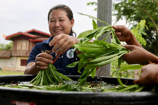 (260723) -- VIENTIANE, July 23, 2026 (Xinhua) -- Villagers clean fresh vegetables picked from greenhouses at Tha Dok Kham village in Lao capital Vientiane, July 21, 2026. TO GO WITH "China-aided poverty reduction project handed over in Laos" (Photo by Wang Yuping/Xinhua)