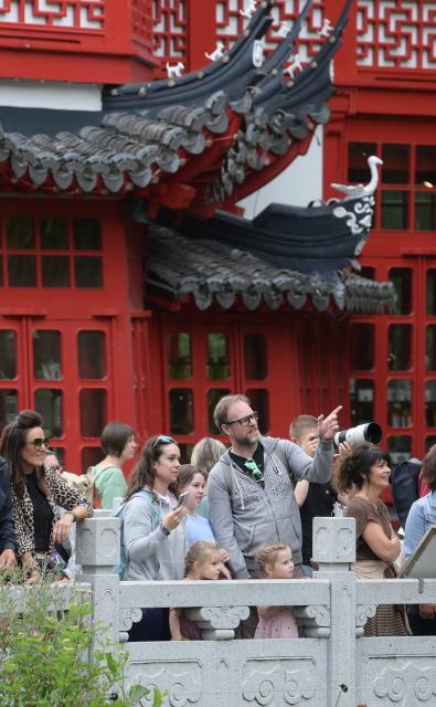 (260723) -- BRUGELETTE, July 23, 2026 (Xinhua) -- Tourists watch Chinese golden snub-nosed monkeys at the Pairi Daiza zoo in Brugelette, Belgium, on July 23, 2026. The Pairi Daiza zoo on Thursday revealed the names of two baby Chinese golden snub-nosed monkeys born here during a 100-day ceremony held for them. The two baby golden monkeys were named Zhen Zhen and Xi Le. 
   In May 2025, three rare Chinese golden snub-nosed monkeys arrived at the zoo under a 10-year lease agreement. The trio of Qinling golden monkeys were airlifted from northwest China's Shaanxi Province as part of a scientific cooperation pact between China Wildlife Conservation Association (CWCA) and the zoo. (Xinhua/Weng Xinyang)