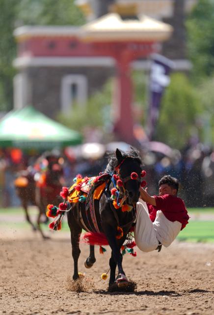 (260725) -- YUSHU, July 25, 2026 (Xinhua) -- A rider shows off equestrian stunts during the opening ceremony of the 44th Yushu horse racing festival in Yushu Tibetan Autonomous Prefecture, northwest China's Qinghai Province, July 25, 2026. The festival kicked off here on Saturday, and will last until August. (Xinhua/Du Xiaowei)