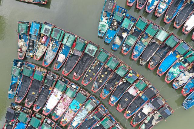(260725) -- BEIJING, July 25, 2026 (Xinhua) -- A drone photo taken on July 25, 2026 shows fishing boats taking shelter from the typhoon at a port in Shenzhen-Shanwei Special Cooperation Zone in south China's Guangdong Province. China's State Flood Control and Drought Relief Headquarters on Saturday raised its emergency response for flood and typhoon control in Guangdong Province to Level III as Typhoon Noul intensified, while activating a Level IV flood emergency response for Jiangxi and Hunan provinces.
   Typhoon Noul, the 12th typhoon of the year, is expected to make landfall along the coast between Hong Kong and Huilai in Guangdong Province between Saturday evening and Sunday morning. (Xinhua/Lu Hanxin)