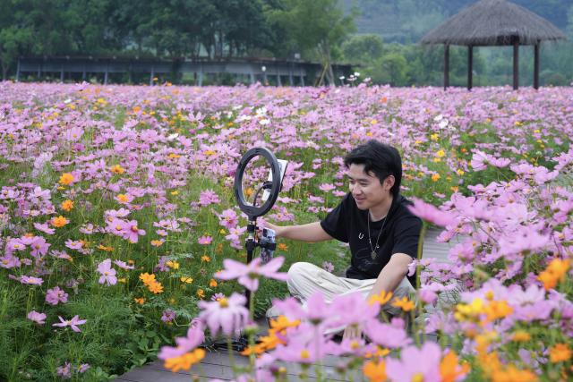 (260725) -- HANGZHOU, July 25, 2026 (Xinhua) -- A young creator promotes local scenery among flowers in Yuhang District of Hangzhou City, east China's Zhejiang Province, May 24, 2025. TO GO WITH "China Focus: Beyond livestream: Can clicks become lasting careers for China's youth?" (Xinhua/Xu Yu)