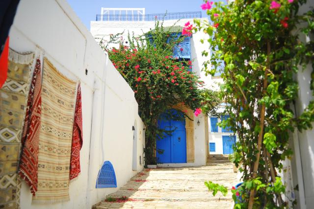 (260725) -- TUNIS, July 25, 2026 (Xinhua) -- This photo taken on July 25, 2026, shows a view of the blue and white village of Sidi Bou Said, north of Tunisia. Tunisia's iconic village of Sidi Bou Said has been inscribed on the UNESCO World Heritage List, the country's Ministry of Cultural Affairs said on Saturday. (Photo by Adel Ezzine/Xinhua)