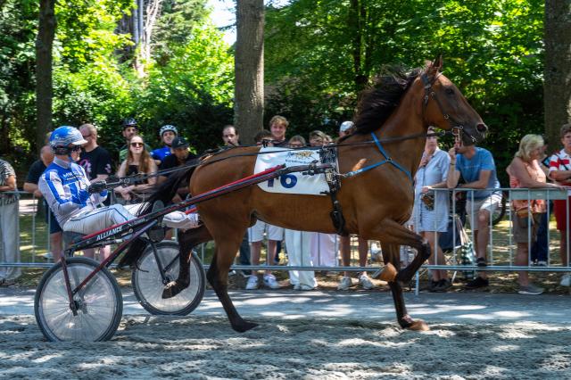 (260725) -- VOORSCHOTEN, July 25, 2026 (Xinhua) -- A horse races in the annual short-distance horse race, a tradition dating back to 1924 in Voorschoten, the Netherlands, July 25, 2026. (Photo by Monique Shaw/Xinhua)