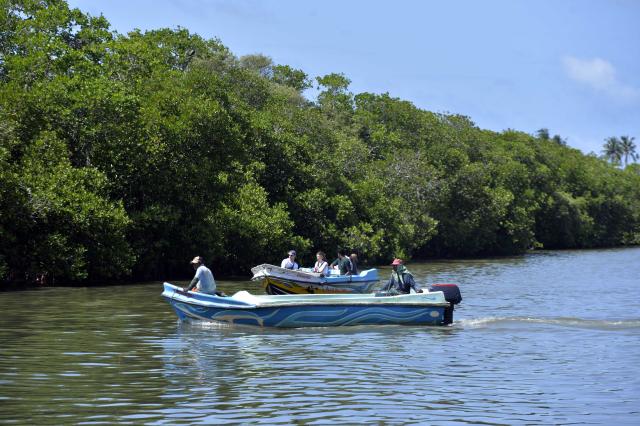 (260725) -- NEGOMBO, July 25, 2026 (Xinhua) -- People boat near the mangroves in the Negombo Lagoon in Negombo, Sri Lanka on July 24, 2026. July 26 marks the International Day for the Conservation of the Mangrove Ecosystem. Sri Lanka's mangroves play an important role in purifying seawater, buffering coastal storms, sequestering carbon and sustaining biodiversity. (Photo by Gayan Sameera/Xinhua)