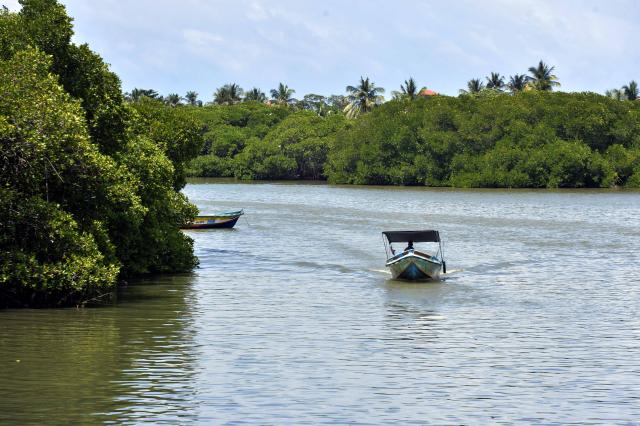 (260725) -- NEGOMBO, July 25, 2026 (Xinhua) -- People boat near the mangroves in the Negombo Lagoon in Negombo, Sri Lanka on July 24, 2026. July 26 marks the International Day for the Conservation of the Mangrove Ecosystem. Sri Lanka's mangroves play an important role in purifying seawater, buffering coastal storms, sequestering carbon and sustaining biodiversity. (Photo by Gayan Sameera/Xinhua)