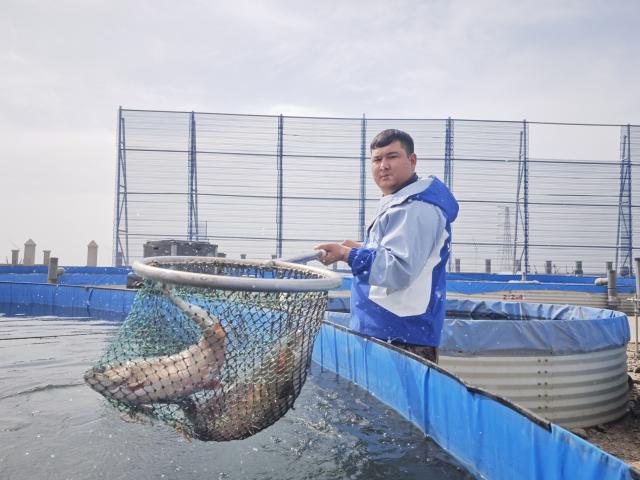 (260726) -- TURPAN, July 26, 2026 (Xinhua) -- A worker catches fish at a salmon breeding base in Turpan, northwest China's Xinjiang Uygur Autonomous Region, April 9, 2025. TO GO WITH "Across China: Ancient wells fuel cold-water fishery, grape farming in 'Land of Fire'" (Xinhua/Gou Lifeng)