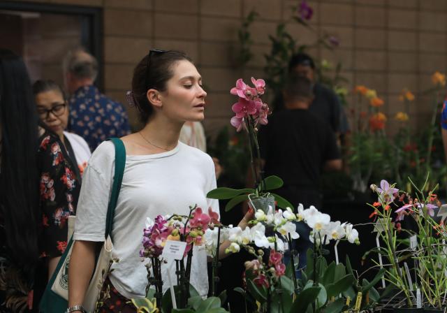 (260726) -- SAN FRANCISCO, July 26, 2026 (Xinhua) -- A woman looks at flowers at an orchids trade fair at Golden Gate Park of San Francisco, the United States, July 25, 2026. (Photo by Liu Yilin/Xinhua)