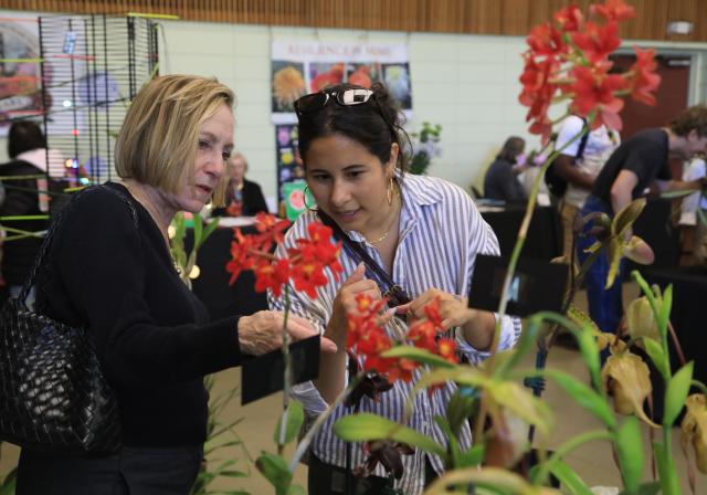 (260726) -- SAN FRANCISCO, July 26, 2026 (Xinhua) -- People look at flowers at an orchids trade fair at Golden Gate Park of San Francisco, the United States, July 25, 2026. (Photo by Liu Yilin/Xinhua)