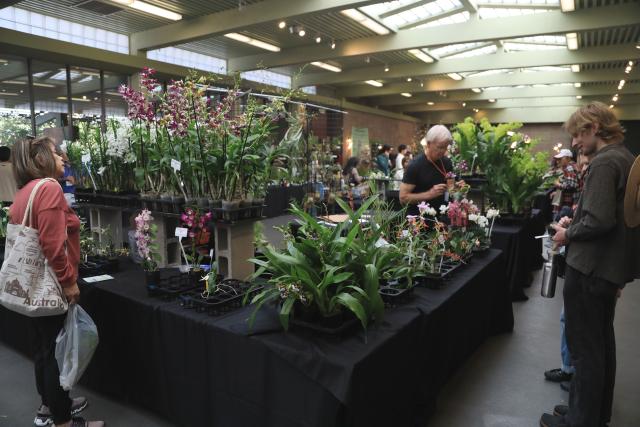 (260726) -- SAN FRANCISCO, July 26, 2026 (Xinhua) -- People look at flowers at an orchids trade fair at Golden Gate Park of San Francisco, the United States, July 25, 2026. (Photo by Liu Yilin/Xinhua)