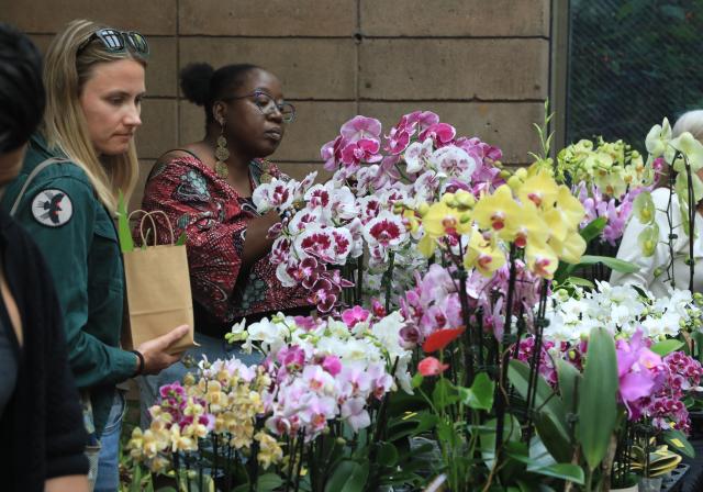 (260726) -- SAN FRANCISCO, July 26, 2026 (Xinhua) -- People look at flowers at an orchids trade fair at Golden Gate Park of San Francisco, the United States, July 25, 2026. (Photo by Liu Yilin/Xinhua)
