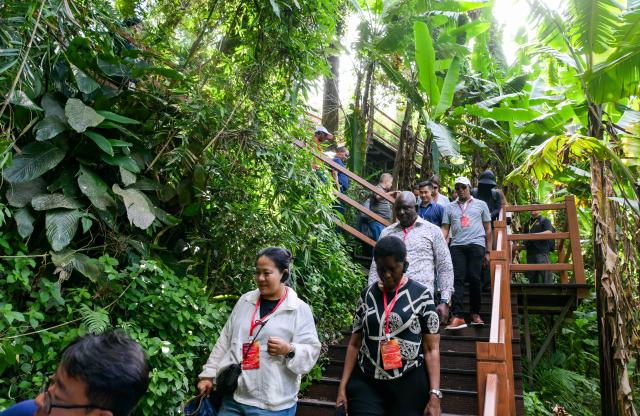 (260726) -- HAIKOU, July 26, 2026 (Xinhua) -- Diplomatic envoys visit the Wuzhishan section of the Hainan Tropical Rainforest National Park in south China's Hainan Province, July 23, 2026. At the invitation of the Chinese Ministry of Foreign Affairs, more than 30 ambassadors and senior diplomats visited Sanya, Wuzhishan, Qionghai, Wenchang and Haikou in south China's Hainan Province from Wednesday to Saturday. During the visit, they explored Hainan's scientific and technological innovation, and the development of the Hainan Free Trade Port. (Xinhua/Yang Guanyu)