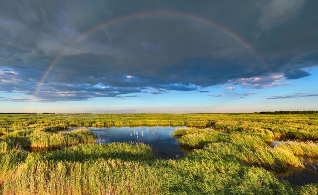 (260727) -- FUJIN, July 27, 2026 (Xinhua) -- A drone photo taken on July 16, 2026 shows a rainbow appearing over the Fujin National Wetland Park in Fujin City, northeast China's Heilongjiang Province. Thanks to years of ecological restoration, the Fujin National Wetland Park now features a thriving ecosystem and breathtaking natural beauty. (Photo by Qu Yubao/Xinhua)