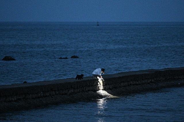 (260728) -- BEIJING, July 28, 2026 (Xinhua) -- A tourist looks for marine creatures in Tanmen Town, Qionghai, south China's Hainan Province, July 24, 2026. Tanmen Town, home to a centuries-old fishing port, now plays the role as a major distribution center for deep-sea fishery catch in eastern Hainan Island. The town has fully tapped into South China Sea fishing culture in recent years to boost coordinated development of culture and tourism for the fishing port and surrounding fishing villages. 
   The town has attracted throngs of tourists for water-themed sightseeing during the ongoing summer vacation, and is emerging as an important window to showcase the charm of South China Sea fishing culture. (Xinhua/Pu Xiaoxu)