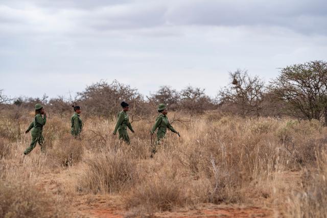 (260728) -- KAJIADO, July 28, 2026 (Xinhua) -- Members of Team Lioness patrol at Ole Narika conservancy in Kajiado County, Kenya, July 22, 2026. TO GO WITH "Feature: All-female rangers boost wildlife conservation efforts in Kenya's Amboseli" (Xinhua/Xie Jianfei)